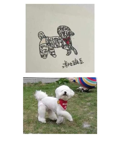 比熊手绘_比熊_手绘_狗狗_兴趣爱好_绘画