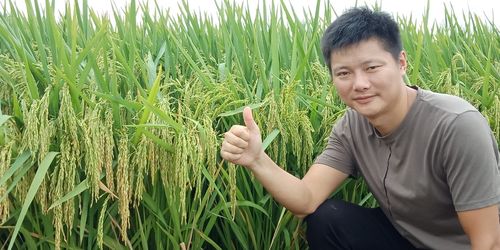 2018年水稻新品种展示
