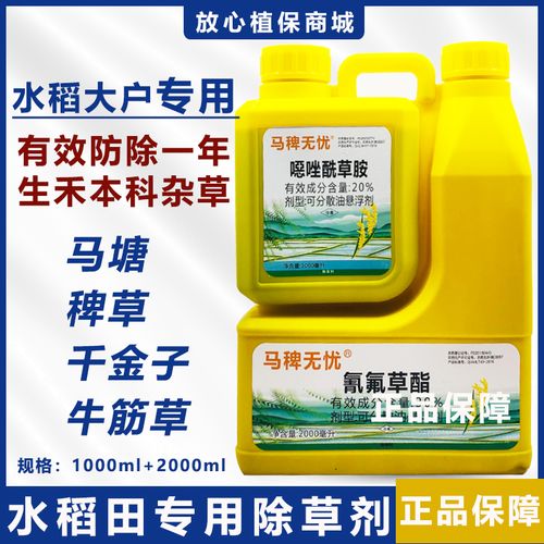 恶唑酰草胺氰氟草酯恶唑氰水稻旱稻抗性稗草千除草剂