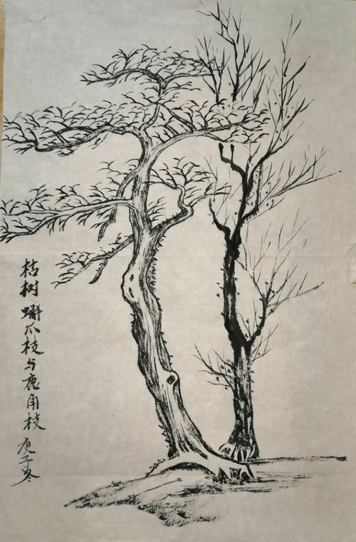 2020年10月27日开学后至11月30日张玉发国画作业