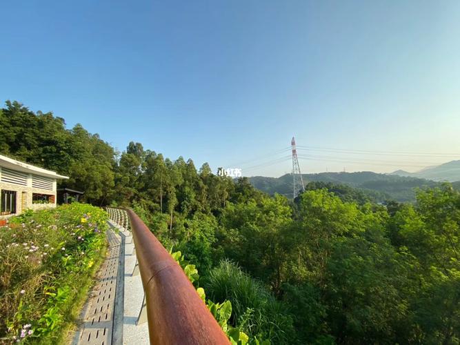 深圳.淘金山绿道_周末_遛狗_狗狗_深圳周末好去处_出行_传统景点攻略