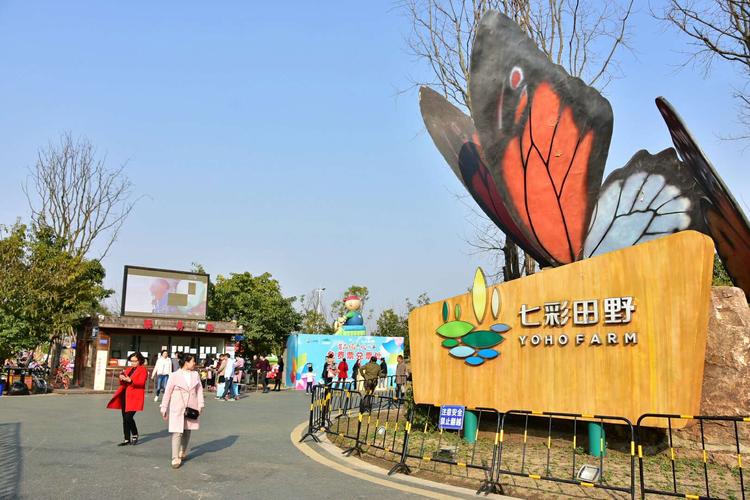 2019年2月7日,锦江区三圣乡,首届风车旅游节七彩田野观赏拍摄.