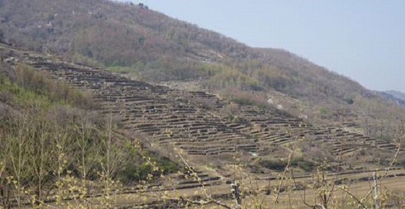 大石桥市黄土岭镇七一村远景 (摄影 唐丽娟)