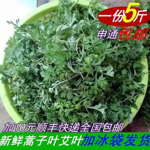 湖南新鲜艾叶艾草蒿子叶5斤装蒿子粑粑清明菜青团子艾绒野菜包邮