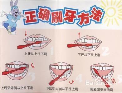 刷牙的正确方法!