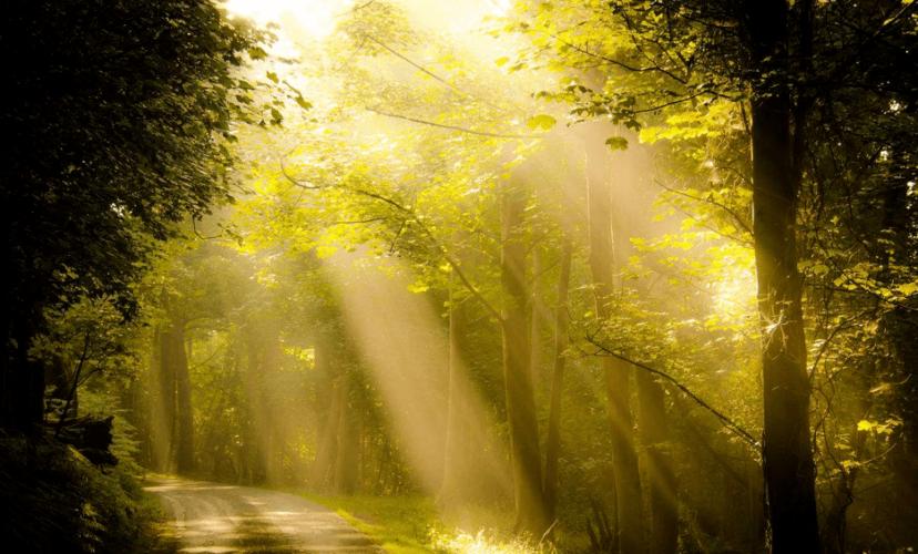 蕾蕾朗读《拐弯的阳光》