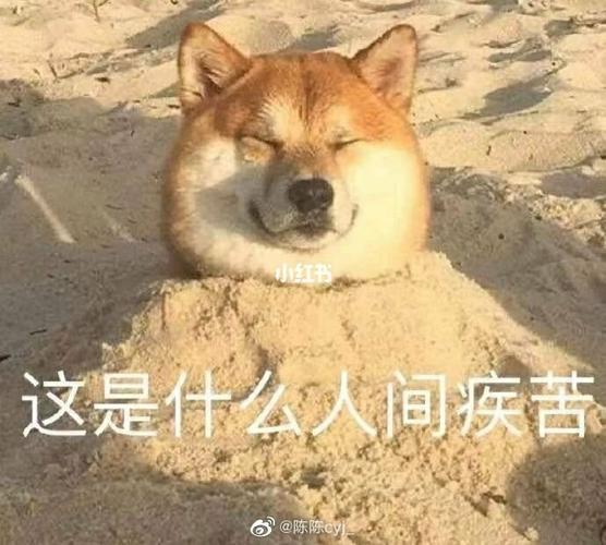 什么表情包都无法形容牙疼的要人命_表情包_自拍_失眠