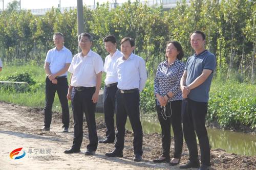 与会人员集中观摩了东沟集镇环境朱玲,郭碧玉,徐义等县领导参加活动