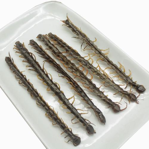 蜈蚣中药材不带竹签红头蜈公100g克大条金头末另其他