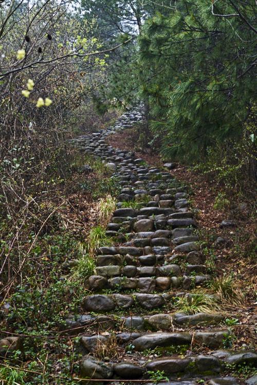 浙江长兴城山古道徒步