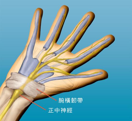 肌腱炎的防与治