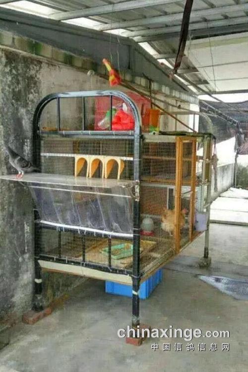 想搭个迷你鸽舍,预计一千七八百,长宽高各两米,四个平方的话.