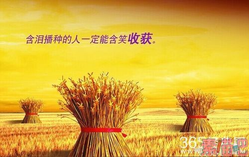100句励志语:含泪播种的人一定能含笑收获.