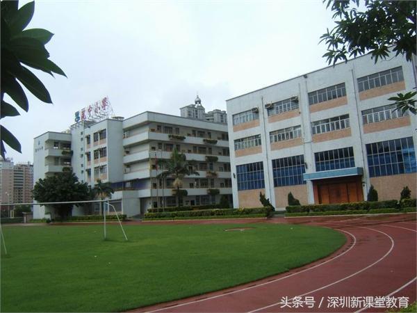 7,丽中小学