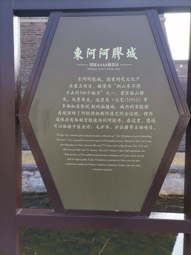 东阿美景之东阿阿胶城
