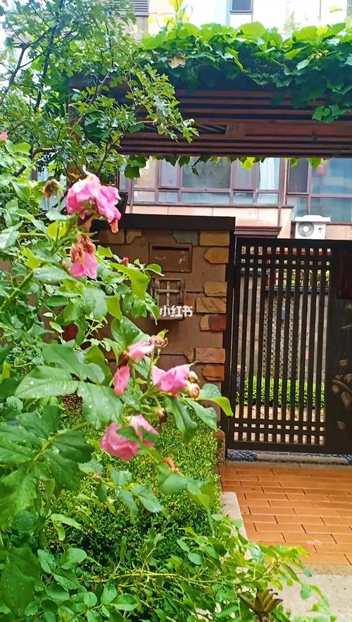 花园门头_花园设计_生活记录_日常片段