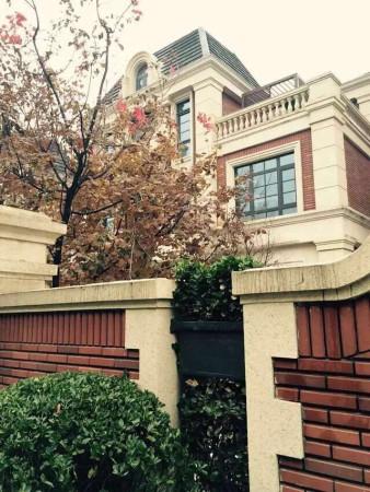 金地中央世家 别墅 小区图片仅供参考