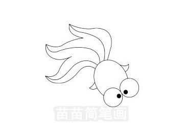 金鱼简笔画图片大全,画法