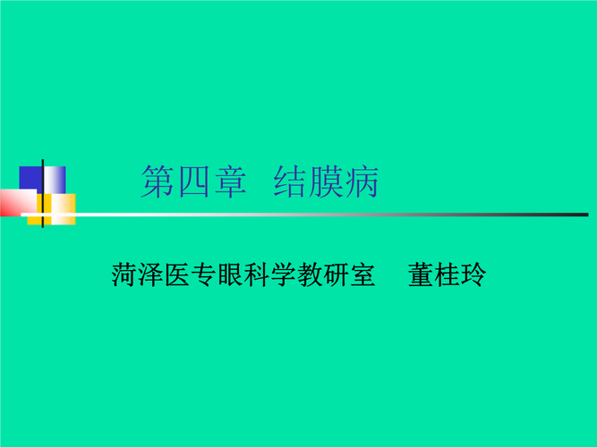 结膜课件.ppt