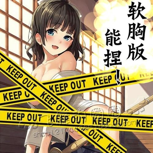 西园寺抚子手办 软胸版 剑道少女手办 动漫性感美女绅士模型 国产