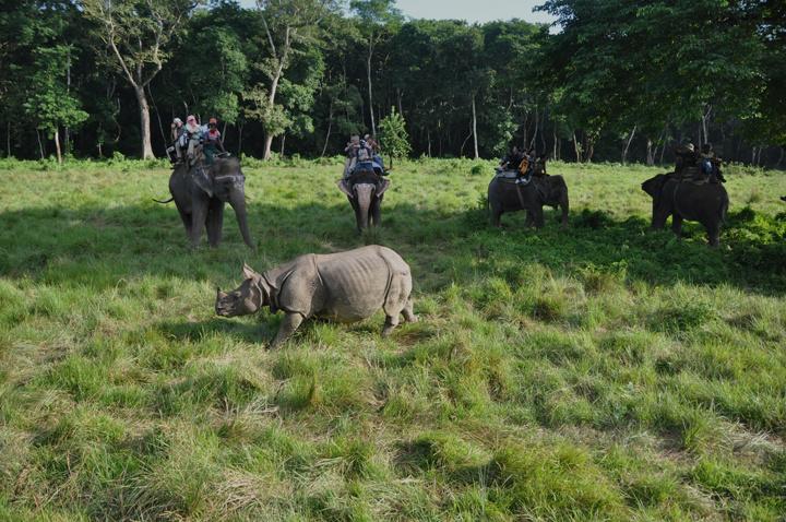 游玩尼泊尔--奇旺