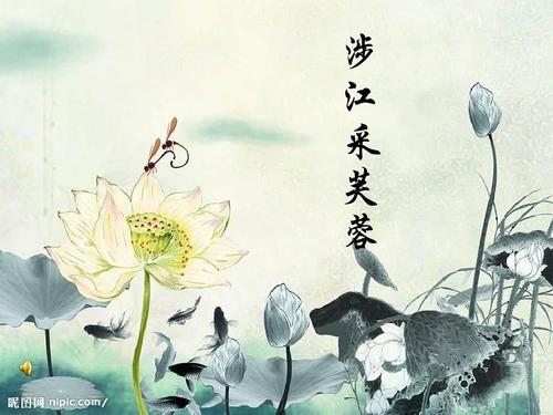 涉江采芙蓉 优秀课件