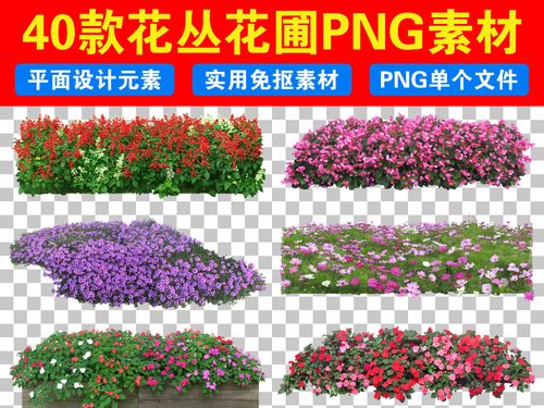 园林花园绿化花卉花丛花圃免抠png素材