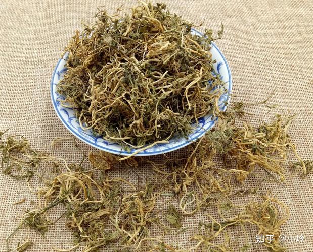 每日中药半边莲