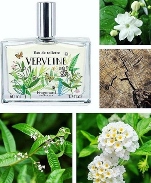 1,fragonard verveine 马鞭草