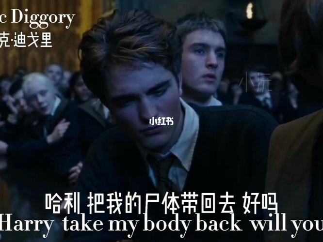 霍格沃茨的勇士:塞德里克·迪戈里_赫奇帕奇_影视_影视混剪(视频)
