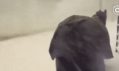 祝你们百年好合.