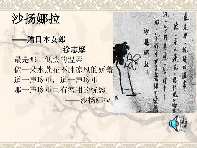 徐志摩《偶然》 徐志摩的《偶然》是在什么背景与心情