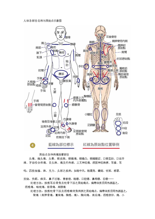 人体各部位名称和原始点示意图doc7页