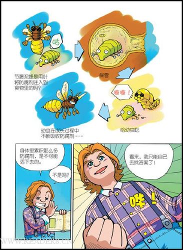 法布尔简笔画的步骤