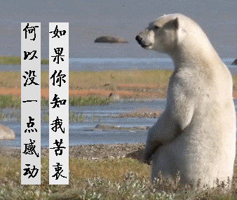 哲理gif动图_动态图_表情包下载_soogif