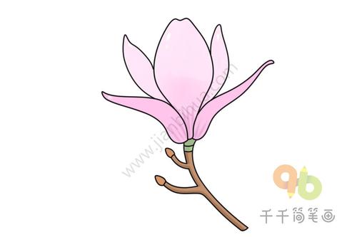 木兰花简笔画