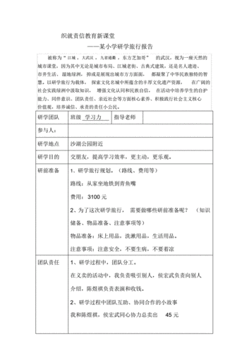 某小学研学旅行报告pdf2页