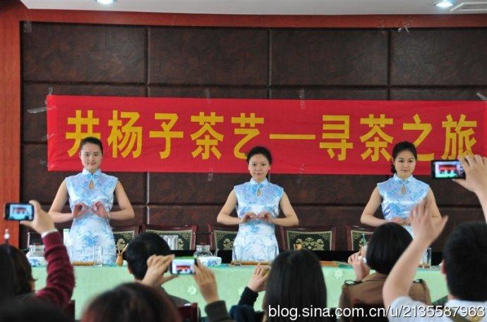 绿茶茶艺