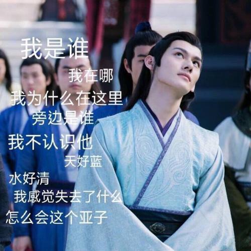 陈情令表情包
