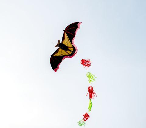 蝙蝠风筝.薛喜乐 作