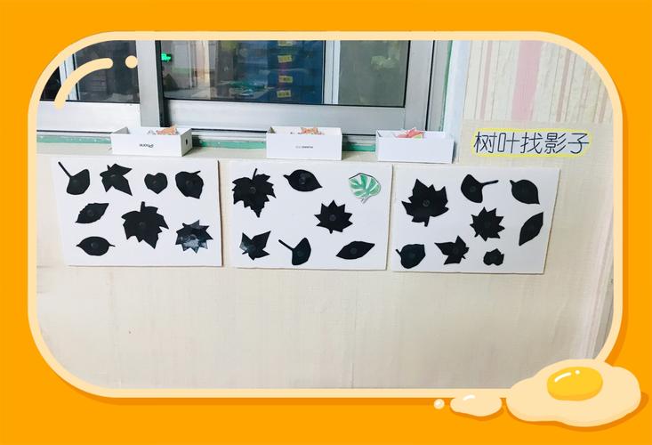 树叶找影子