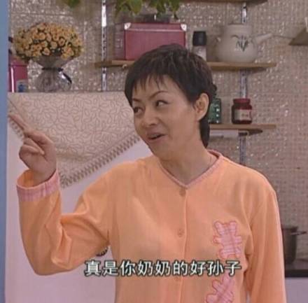 家有儿女宋丹丹:真是你奶奶的好孙子 - 热门表情包精选-2017/11/15_斗