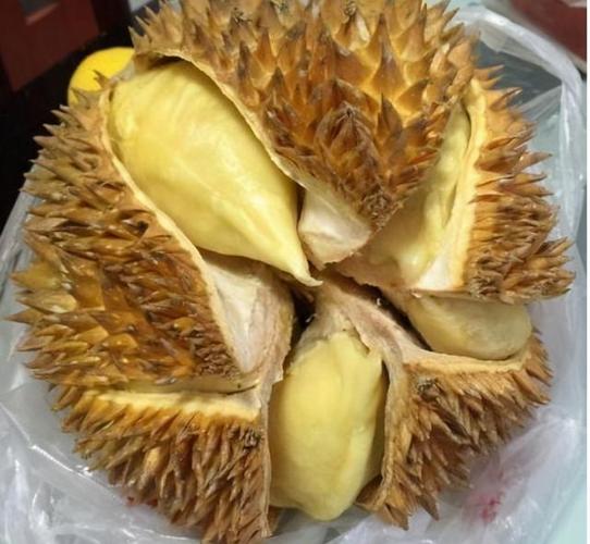 榴莲怎么开榴莲怎么开没裂开的