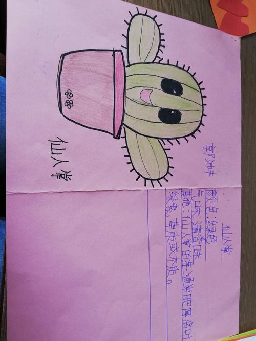 三二班的植物记录卡