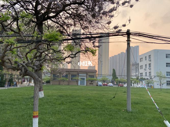 学校一角_河北医科大学临床学院-南院自由行热门攻略