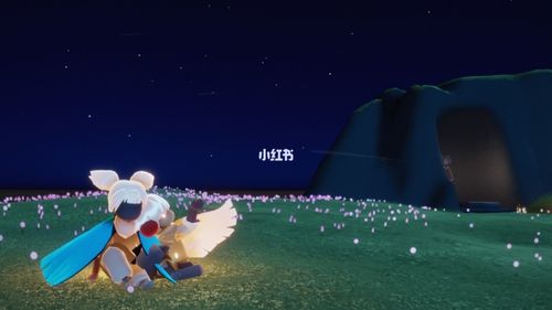 一个超级可爱(帅气)的拍照姿势_拍照姿势_光遇_光遇日常_摄影_摄影