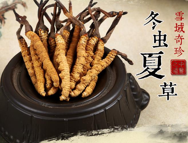 冬虫夏草