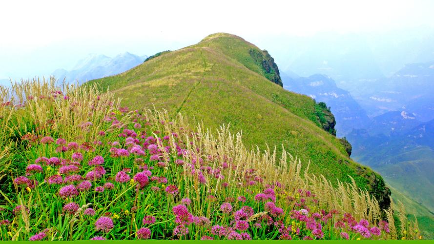 赫章韭菜坪: 秋风吹开"天上花"