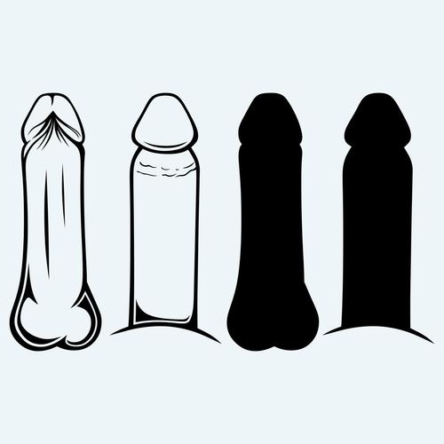 身体部位,阴茎,隔绝,蓝色背景,背景