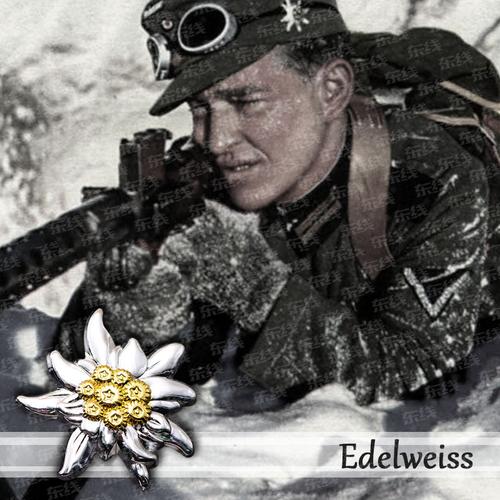 新版山地雪绒花帽徽叶子胸章橡树树叶徽章勋章勋章